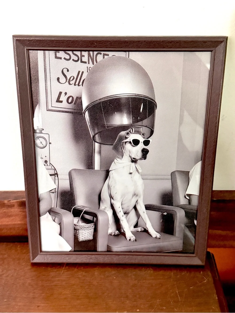 Dog Hair Salon Retro Vintage Style Canvas Wall Hanging Art Framed 8.5x10.5”